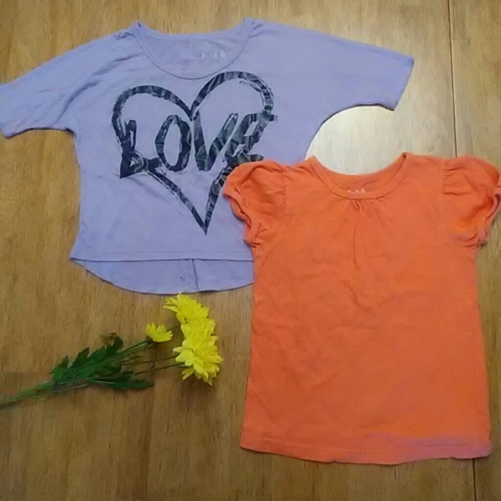 🌺 5/$15 Girls Shirt Bundle 4t